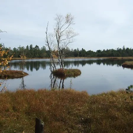 Amstadt's Birkenfels *