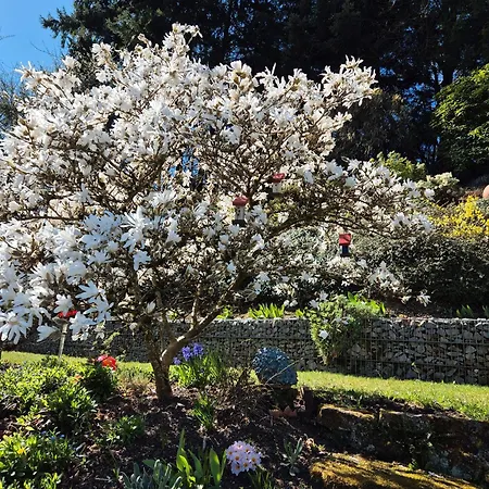 Amstadt's Birkenfels *