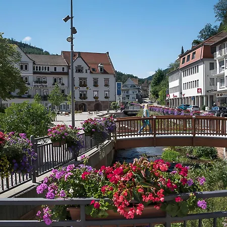 Amstadt's Birkenfels Lejlighed *