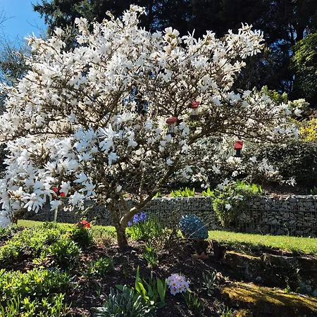 Apartamento Amstadt's Birkenfels *