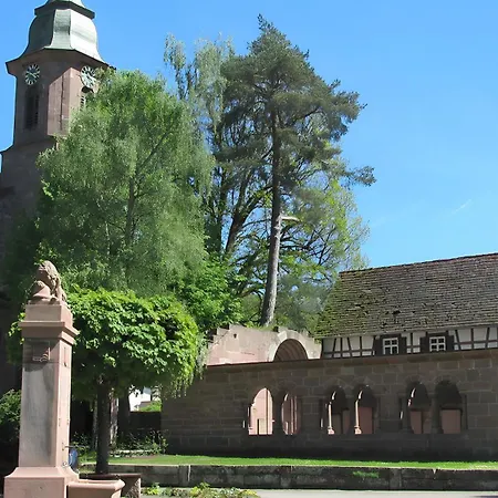 Διαμέρισμα Amstadt's Birkenfels *