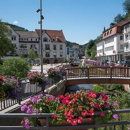Amstadt's Birkenfels Διαμέρισμα