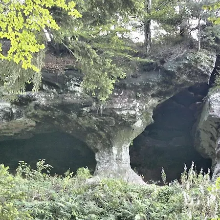 Διαμέρισμα Amstadt's Birkenfels *